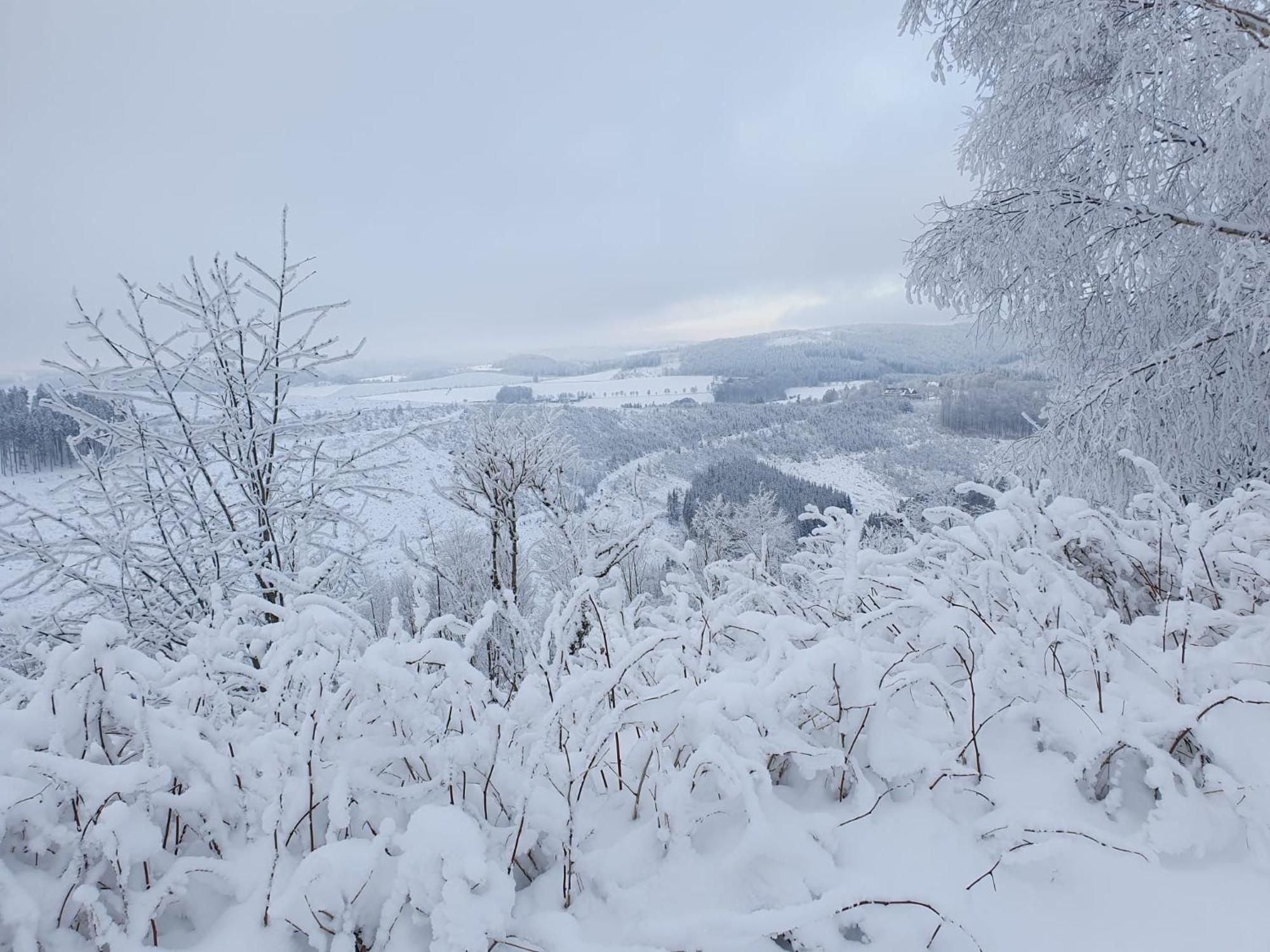 Pension Hubertus วินเทอร์แบร์ก ภายนอก รูปภาพ