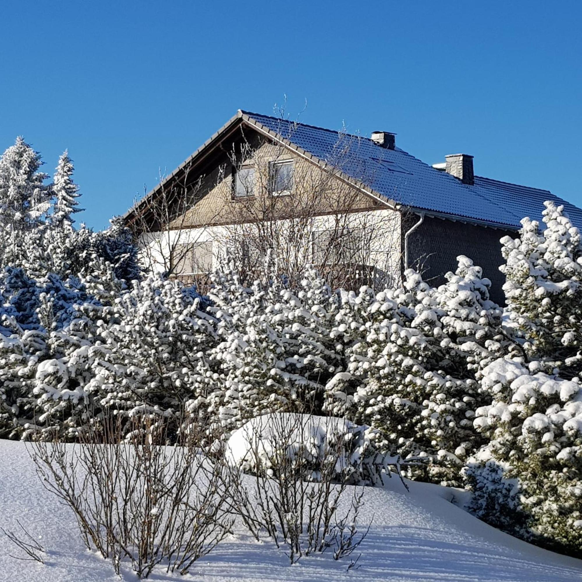 Pension Hubertus วินเทอร์แบร์ก ภายนอก รูปภาพ